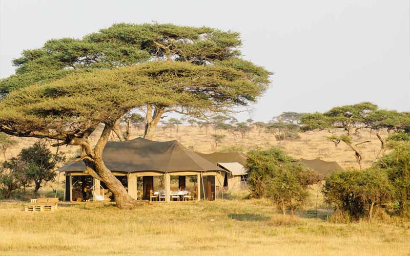 Namiri plans in Eastern Serengeti
