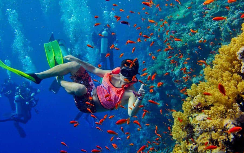 Snorkeling in Zanzibar Underwater Wonders