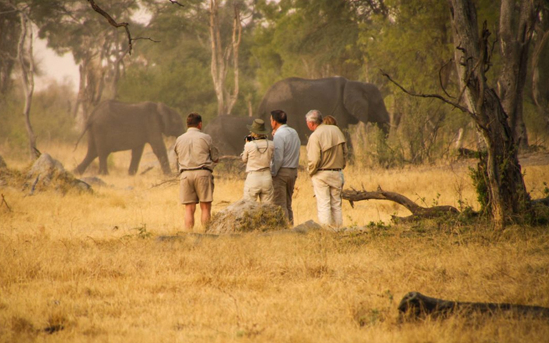 Family-Friendly Tanzania Safaris