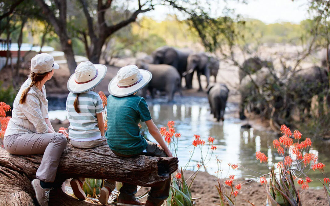 Family-Friendly Tanzania Safaris