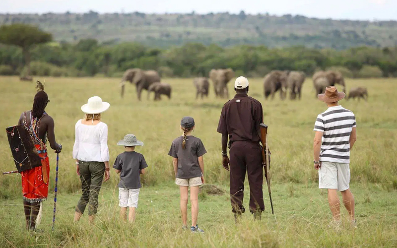 Family-Friendly Tanzania Safaris