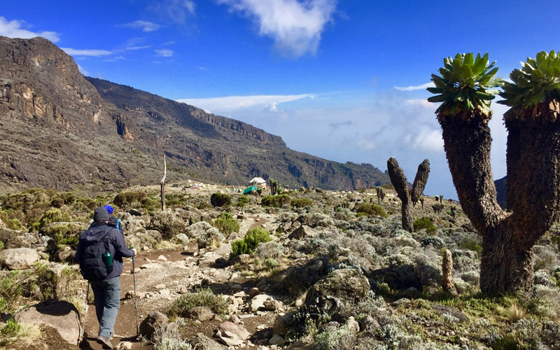 Hiking Trails in Tanzania Explore Nature