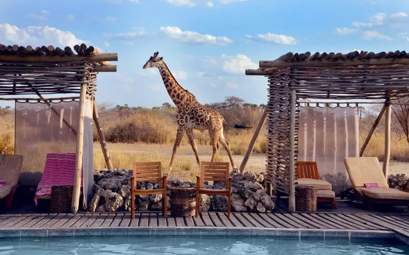 Luxury Retreats in Tanzania