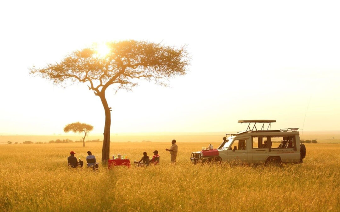 Top All-Inclusive Tanzania Safari Packages
