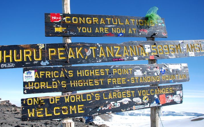 What is the success rate for reaching the summit of Kilimanjaro