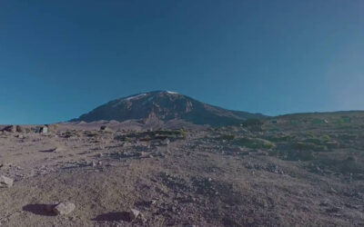What is the success rate for reaching the summit of Kilimanjaro?