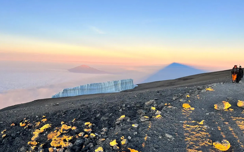 What is the success rate for reaching the summit of Kilimanjaro