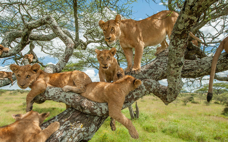 Lake Manyara National Park