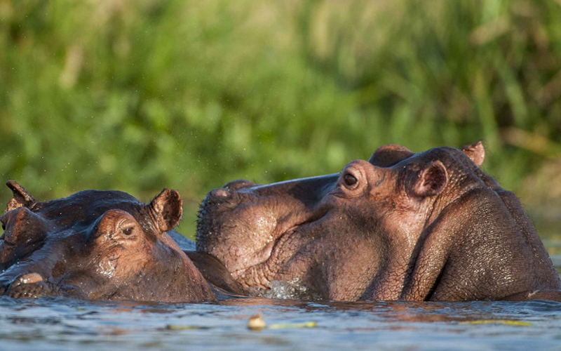 nyerere national park