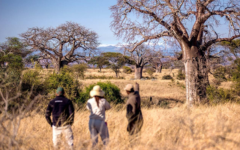 Tarangire National Park