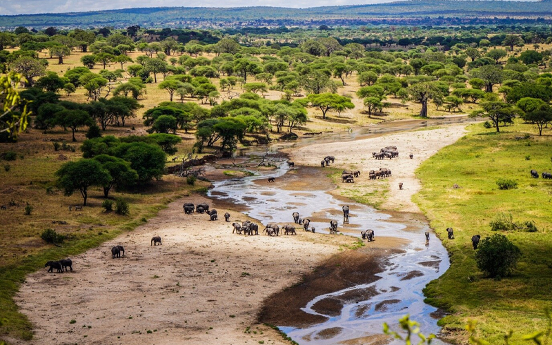 Tarangire National Park