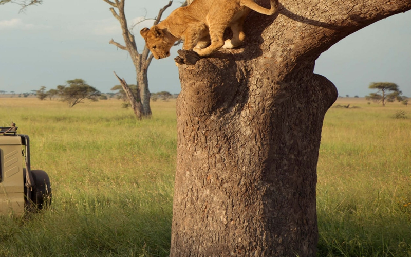 Arusha National Park