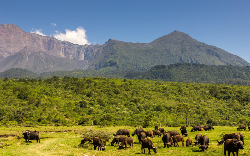 Arusha National Park