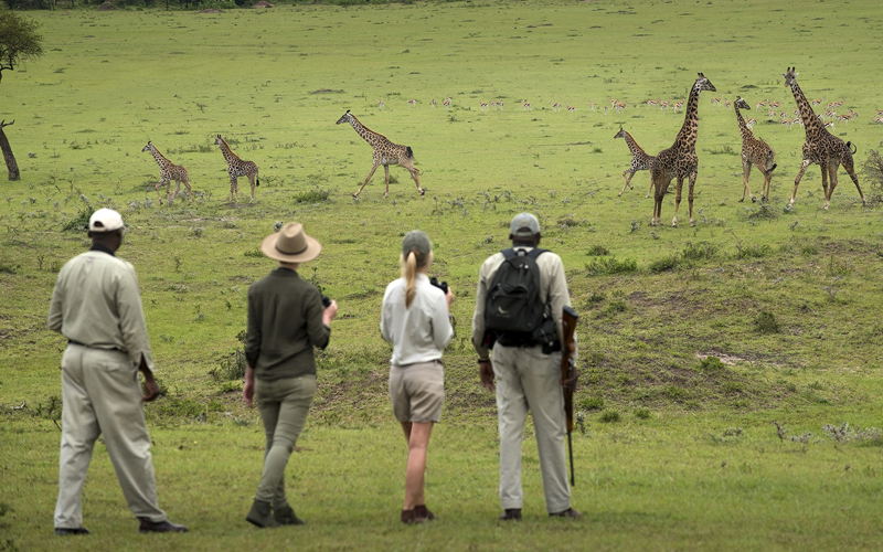 gombe national park