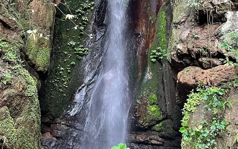 gombe national park