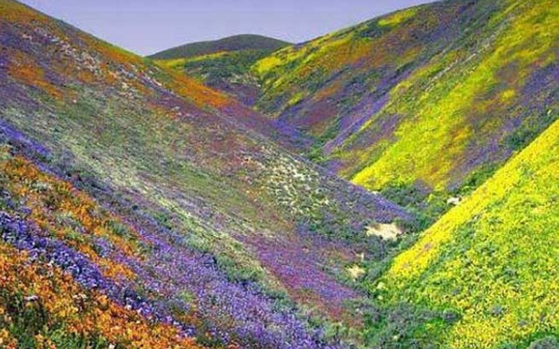 kitulo national park