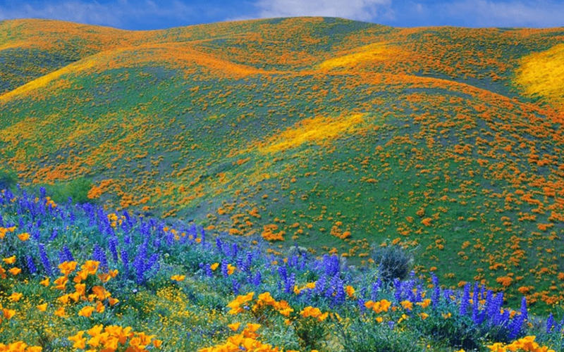 kitulo national park