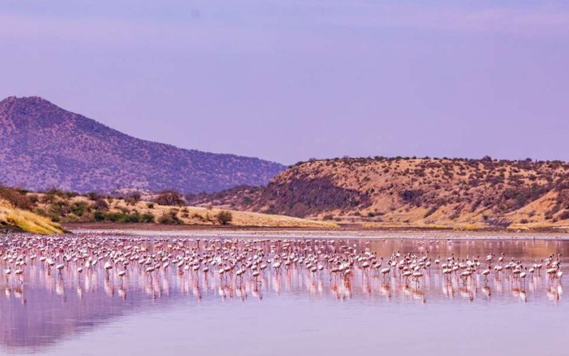 lake magadi