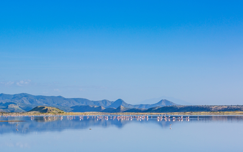 lake magadi