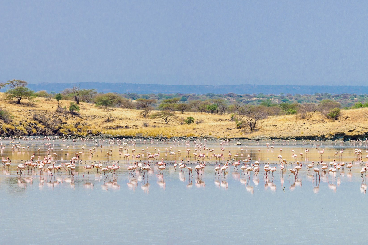 lake magadi