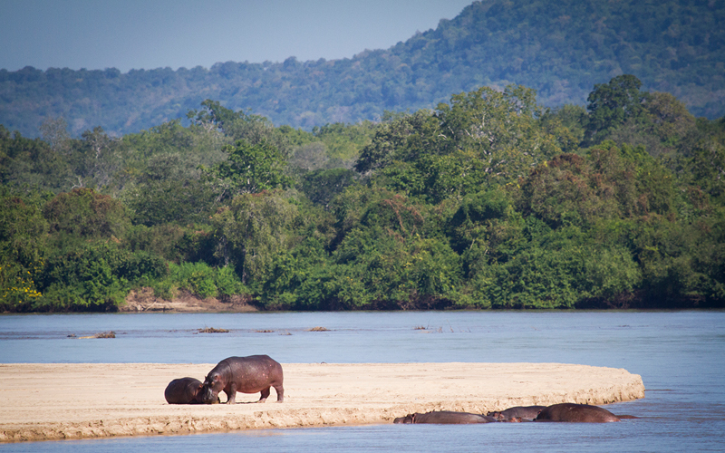 nyerere national park