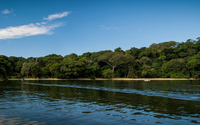 rubondo island national park