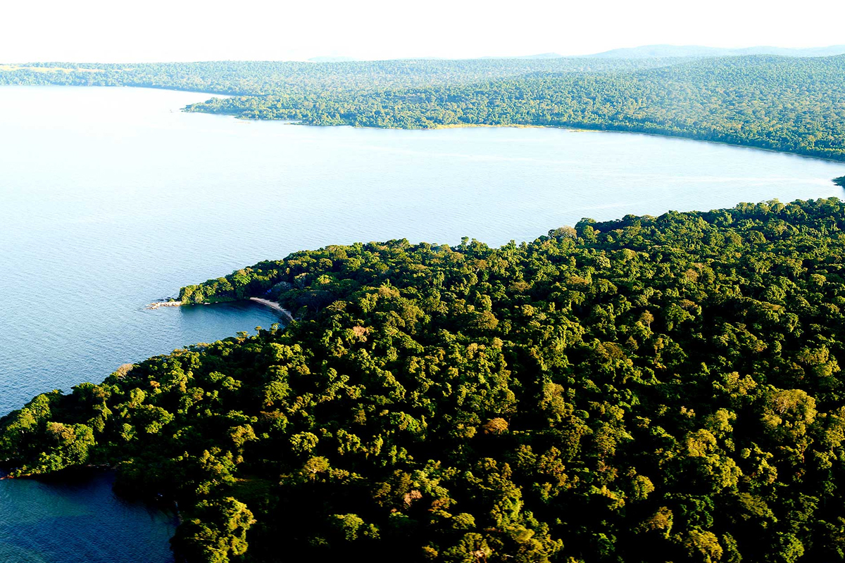 rubondo island national park