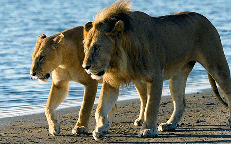 saadani national park