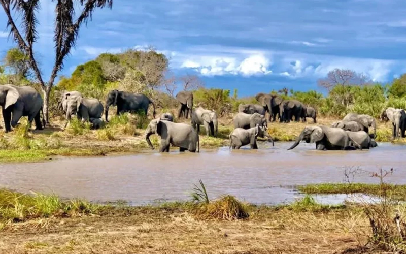 saadani national park