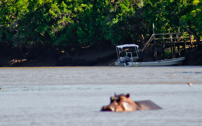 saadani national park