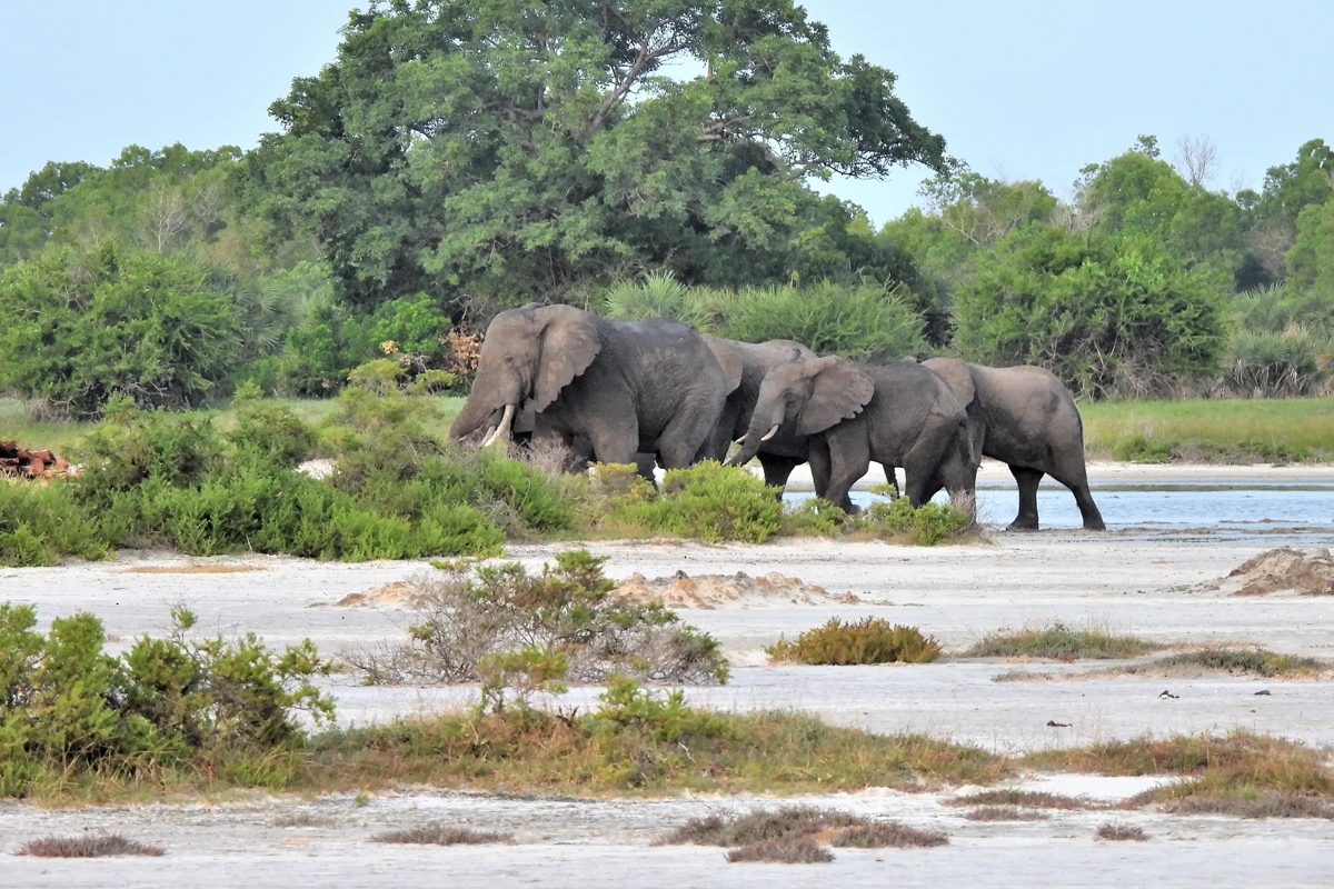 saadani national park