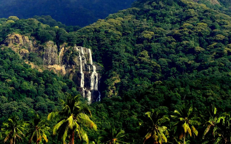 udzungwa mountain national park