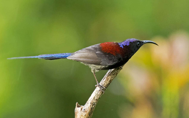 udzungwa mountain national park