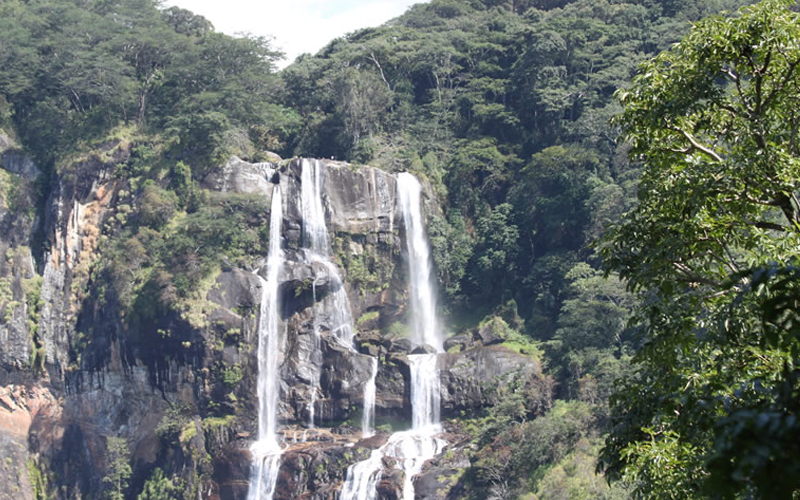 udzungwa mountain national park