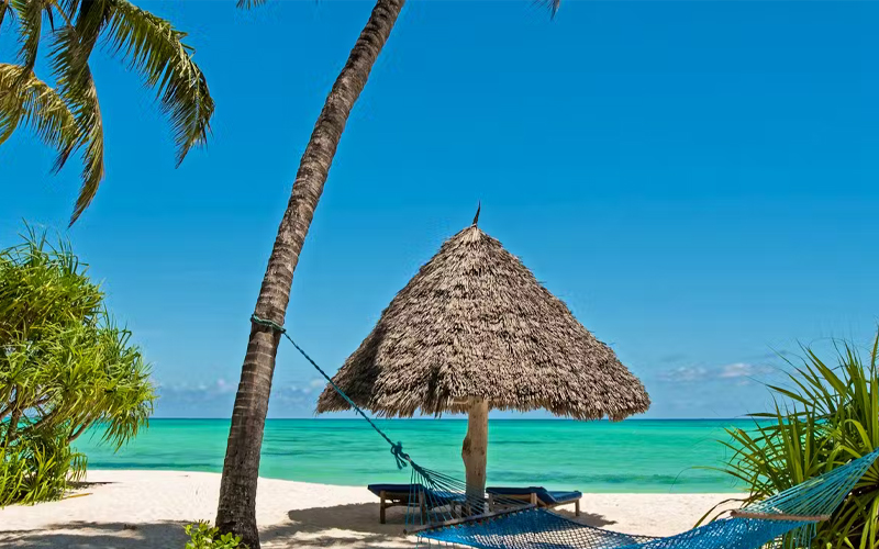 Zanzibar Beach Holidays 2025 Best Islands & Resorts to Visit Lappet